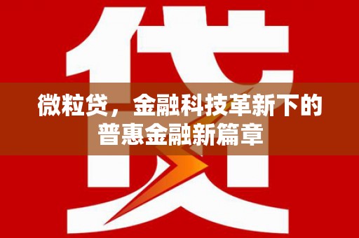 来宾微粒贷，金融科技革新下的普惠金融新篇章