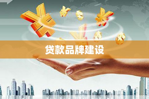 来宾贷款品牌建设