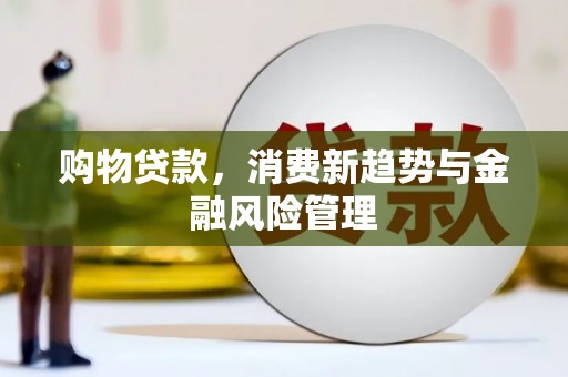 来宾购物贷款，消费新趋势与金融风险管理