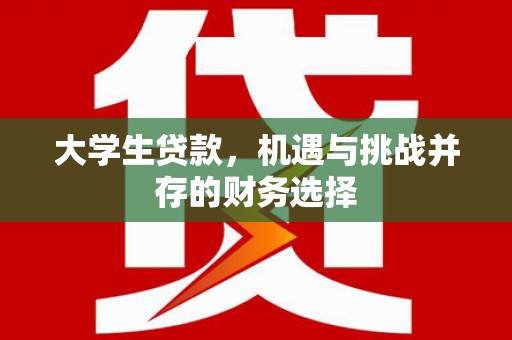 来宾大学生贷款，机遇与挑战并存的财务选择