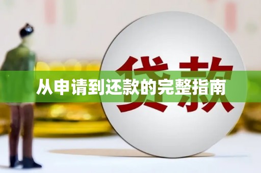 来宾从申请到还款的完整指南