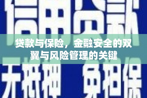 来宾贷款与保险，金融安全的双翼与风险管理的关键