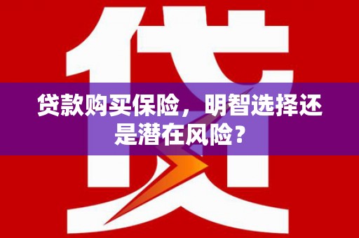 来宾贷款购买保险，明智选择还是潜在风险？
