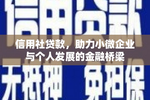 来宾信用社贷款，助力小微企业与个人发展的金融桥梁