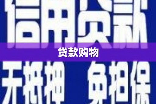 来宾贷款购物