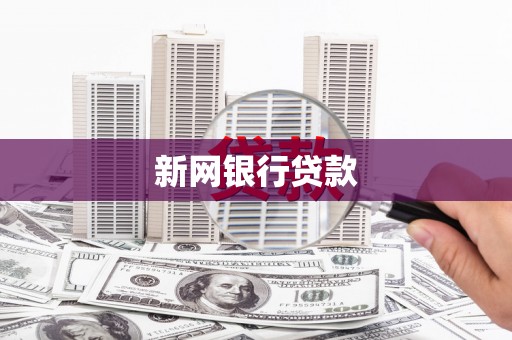 来宾新网银行贷款