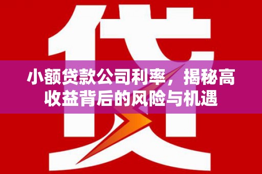 来宾小额贷款公司利率，揭秘高收益背后的风险与机遇