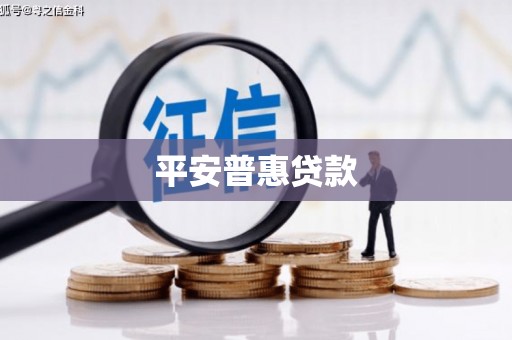 来宾平安普惠贷款