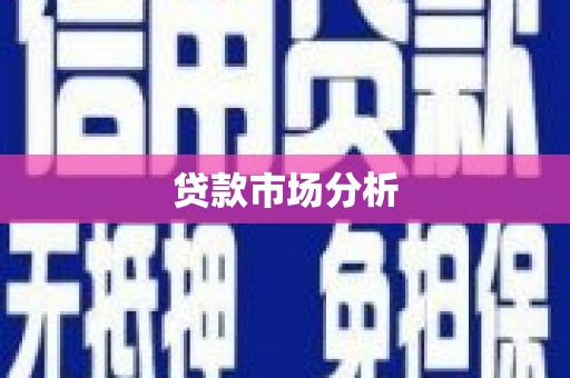 来宾贷款市场分析