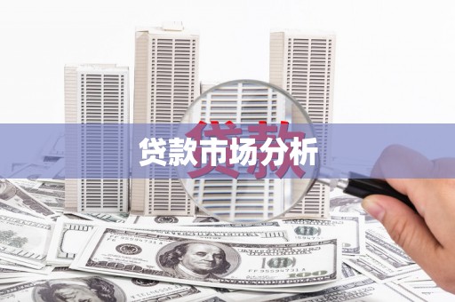 来宾贷款市场分析