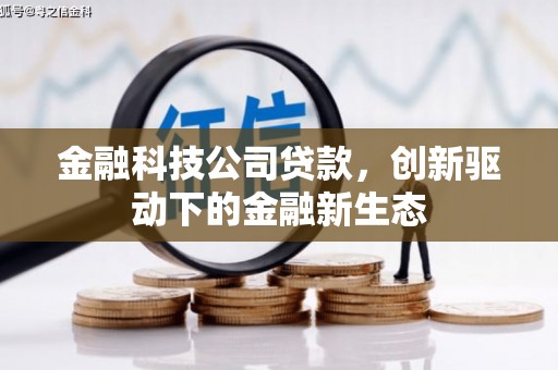 来宾金融科技公司贷款，创新驱动下的金融新生态
