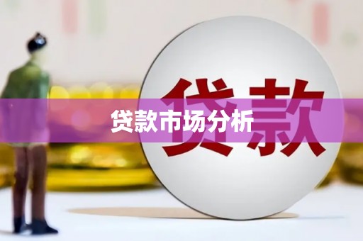 来宾贷款市场分析