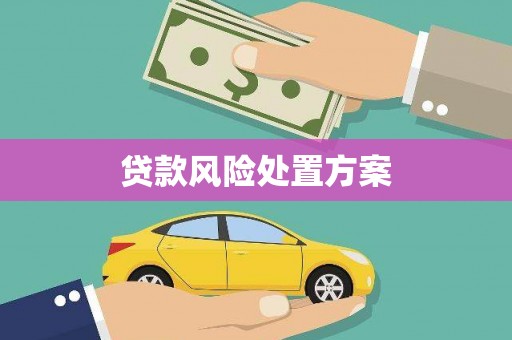 来宾贷款风险处置方案