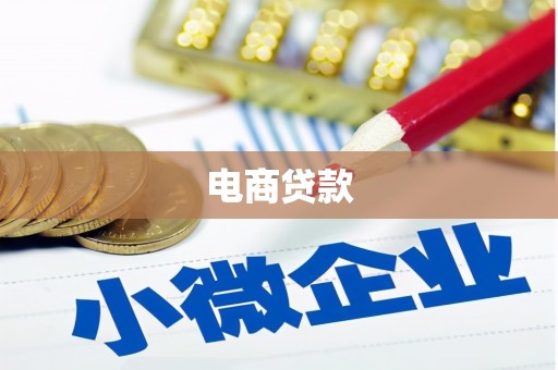 来宾电商贷款