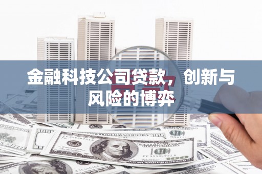来宾金融科技公司贷款，创新与风险的博弈