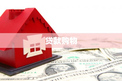 来宾贷款购物