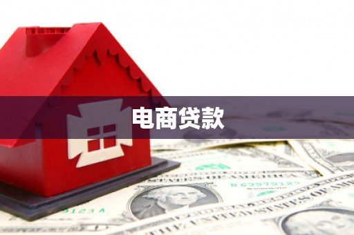 来宾电商贷款