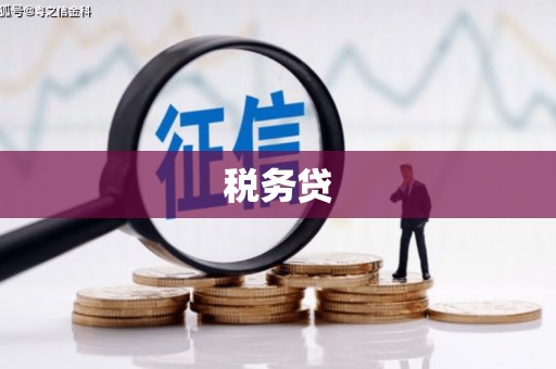 来宾税务贷