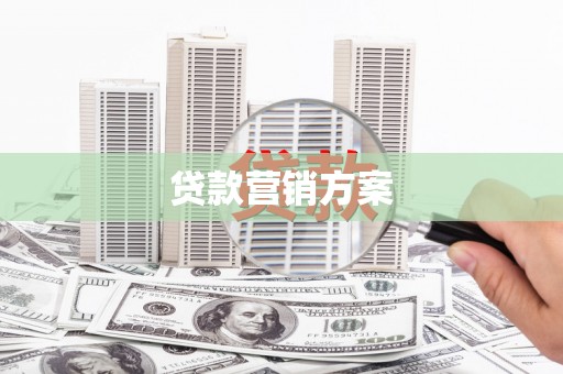 来宾贷款营销方案