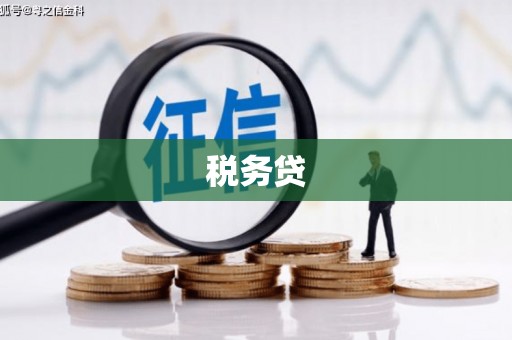 来宾税务贷