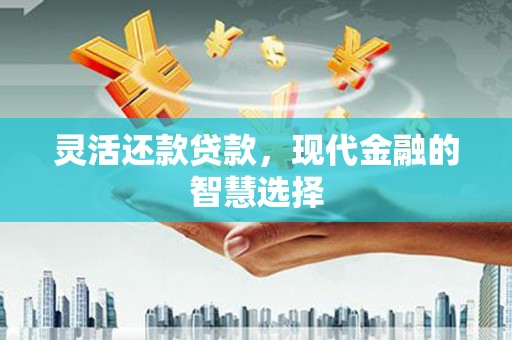 来宾灵活还款贷款，现代金融的智慧选择