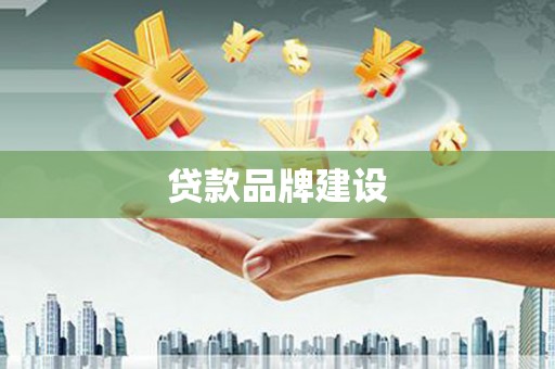 来宾贷款品牌建设