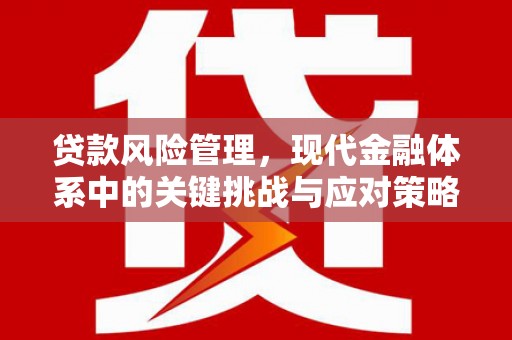来宾贷款风险管理，现代金融体系中的关键挑战与应对策略