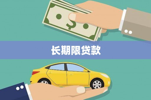 来宾长期限贷款