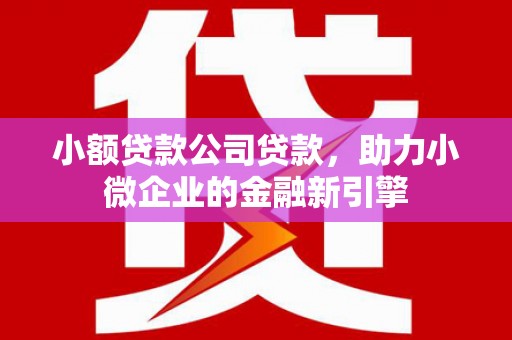 来宾小额贷款公司贷款，助力小微企业的金融新引擎