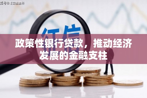来宾政策性银行贷款，推动经济发展的金融支柱