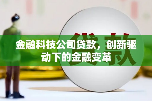 来宾金融科技公司贷款，创新驱动下的金融变革