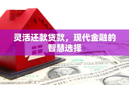 来宾灵活还款贷款，现代金融的智慧选择