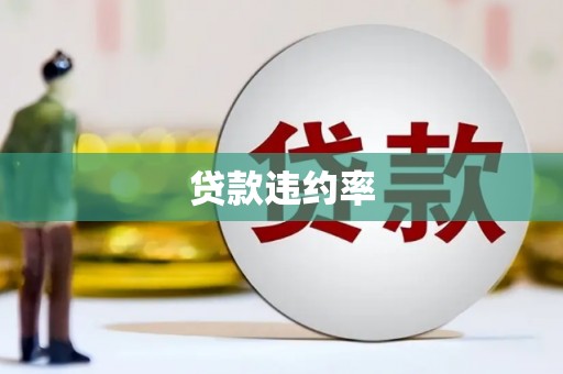 来宾贷款违约率