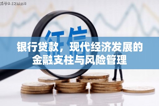 来宾银行贷款，现代经济发展的金融支柱与风险管理