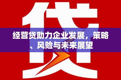 来宾经营贷助力企业发展，策略、风险与未来展望