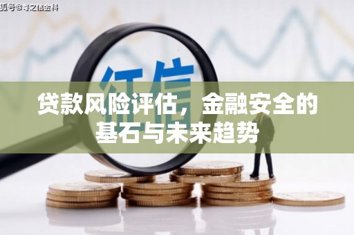 来宾贷款风险评估，金融安全的基石与未来趋势