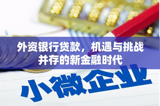 来宾外资银行贷款，机遇与挑战并存的新金融时代