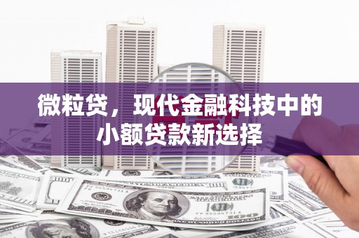 来宾微粒贷，现代金融科技中的小额贷款新选择
