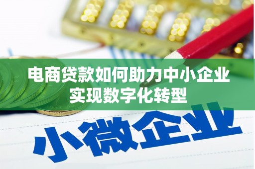 来宾电商贷款如何助力中小企业实现数字化转型
