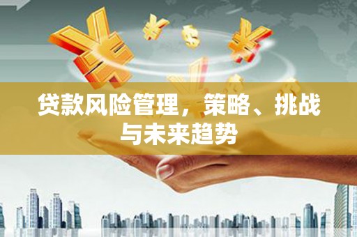 来宾贷款风险管理，策略、挑战与未来趋势
