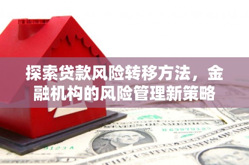 来宾探索贷款风险转移方法，金融机构的风险管理新策略