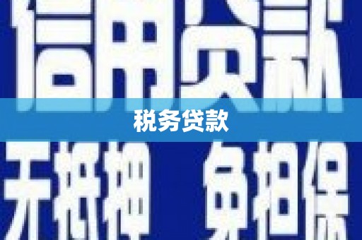 来宾税务贷款