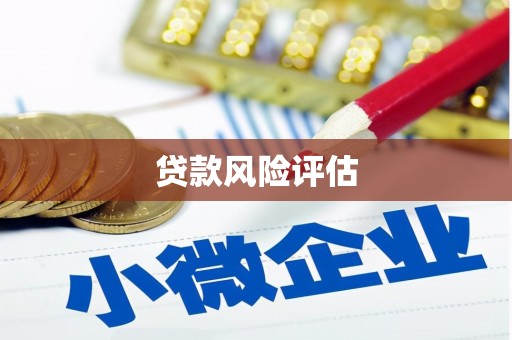 来宾贷款风险评估