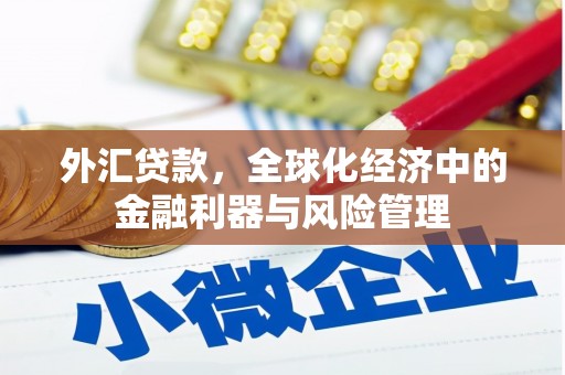 来宾外汇贷款，全球化经济中的金融利器与风险管理