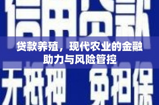 来宾贷款养殖，现代农业的金融助力与风险管控