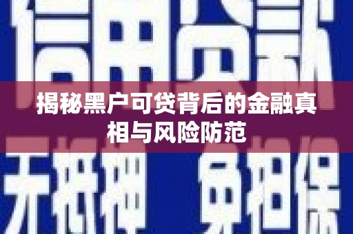 来宾揭秘黑户可贷背后的金融真相与风险防范