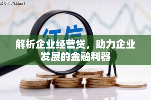 来宾解析企业经营贷，助力企业发展的金融利器