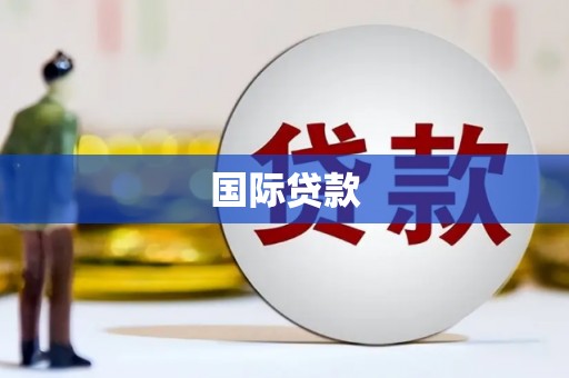 来宾国际贷款