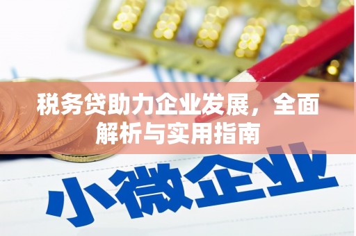 来宾税务贷助力企业发展，全面解析与实用指南