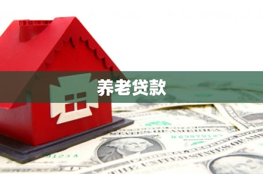 来宾养老贷款